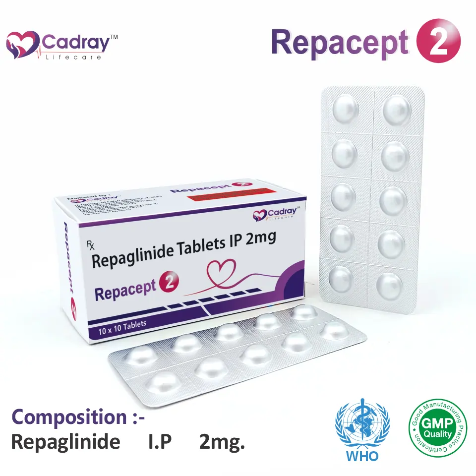 Repaglinide 2 mg Tablet PCD Pharma Franchise